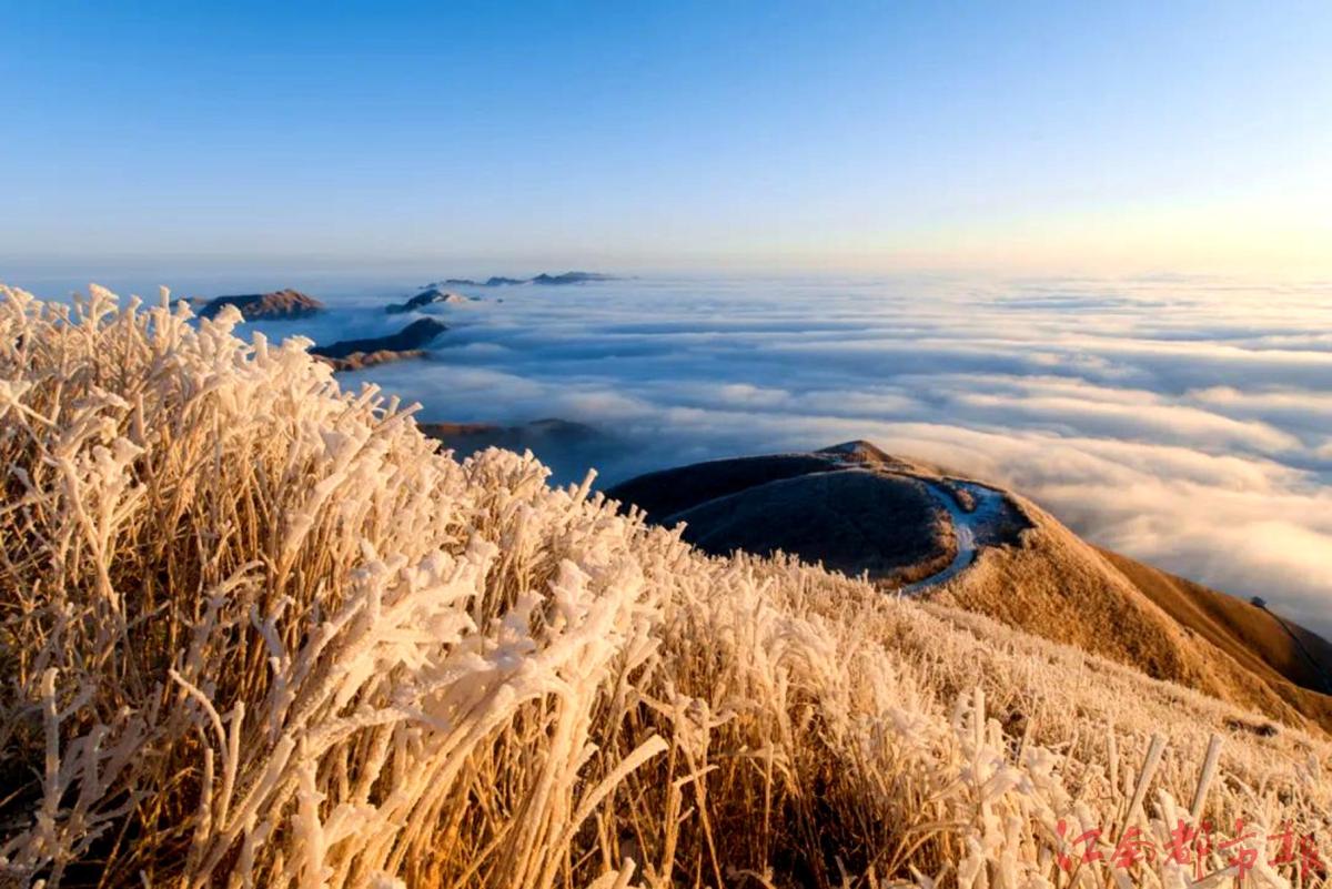 萍鄉武功山：霧凇云海，銀裝素裹